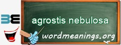 WordMeaning blackboard for agrostis nebulosa